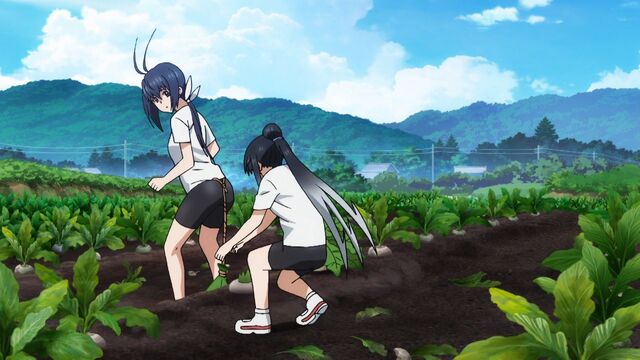 File:Shirayuki accompanying Nozomi.jpg