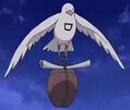 ShikiY