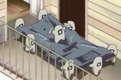 Shiki-door