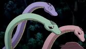 Snakes-simjorox