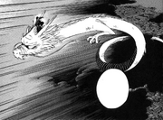 Sumiko-drgn