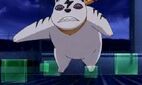 Trap-raizo