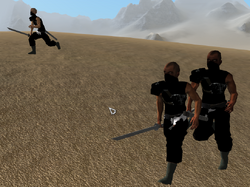 Sandninjas