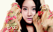 Han*groo