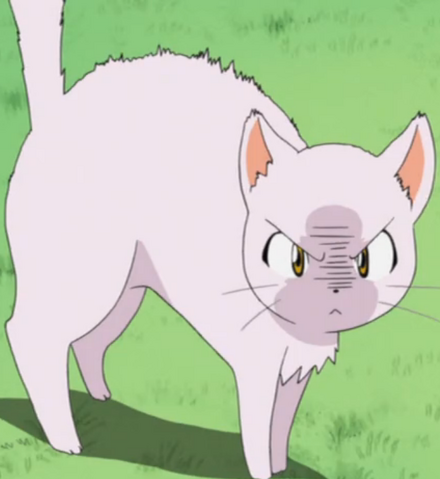 File:Kitten hissing.png