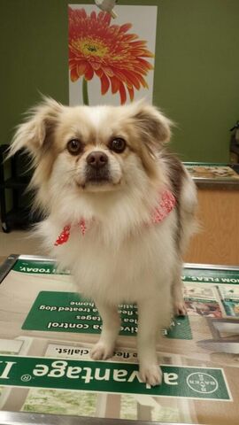 File:Winston 1.jpg