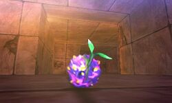 Demon Vine Seed
