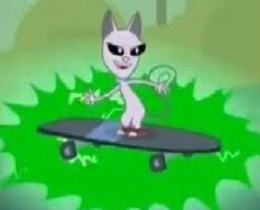 Señor gatito1