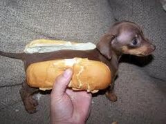 Hot dog.jpg