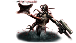 Zed patriarch