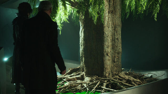 File:The Mother Tree S2E10.jpg