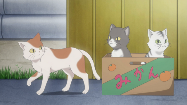 File:19.png
