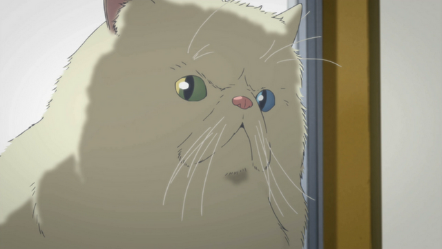 File:17.png