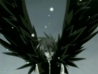 Shadow Dark