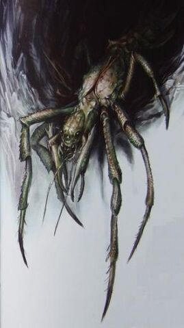 Plik:Arachno.jpg