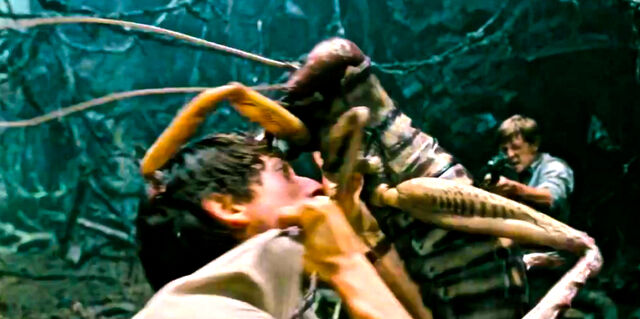 File:Weta 2.jpg