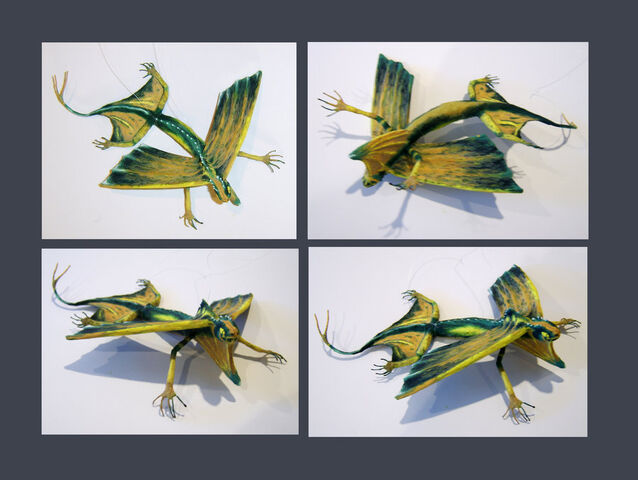 File:Novusaurus biscutica.jpg