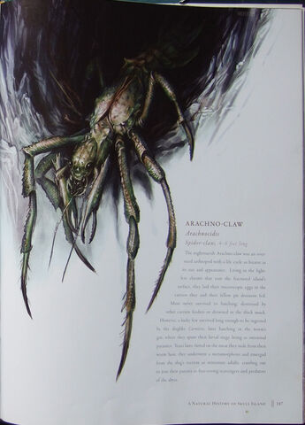 File:Arachno-claw.jpg