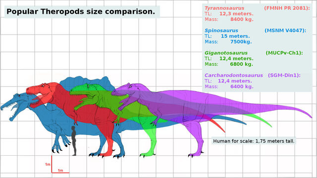 Plik:Popular giant theropods size comparison by franoys-da6zspc.jpg