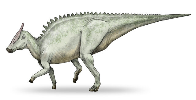 File:Saurolophus.jpg