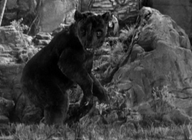 CaveBear