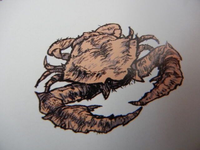 File:DSCN1886.jpg