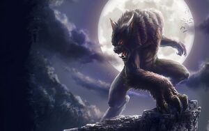 Lycan Pack Member