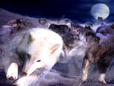 Werewolf Pack