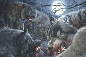 Werewolf Pack group