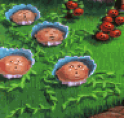Babytears