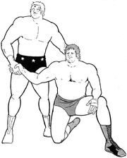 Terry Funk