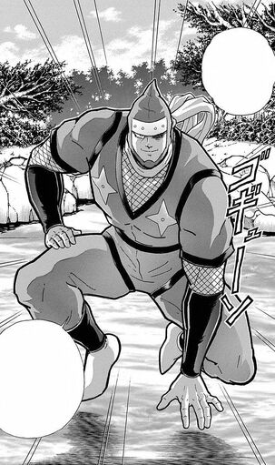 File:Ninja'sback.jpg