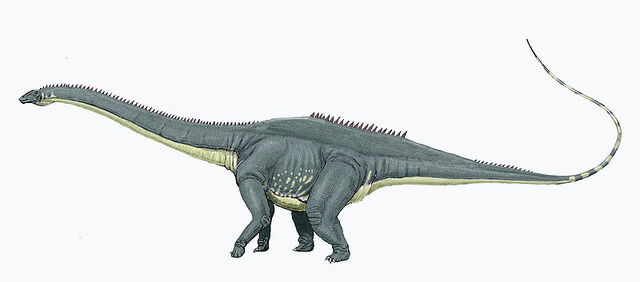 Файл:Diplodocus carng1DB.jpg
