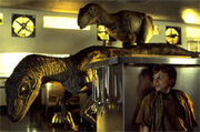 Jurassic-Park-8242.jpg