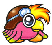 Birdon