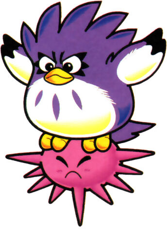 Datei:Coo Nadel.jpg