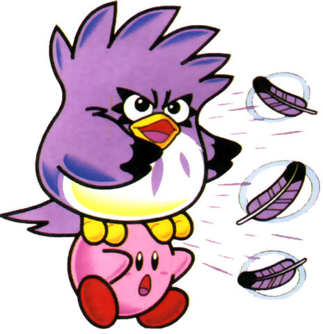 Datei:Coo Bumerang.jpg
