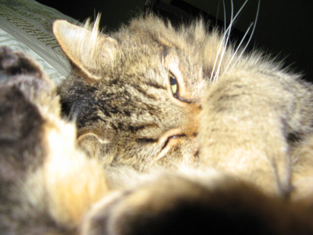 File:IMG 3692.jpg
