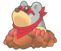Talpy Topi.jpg
