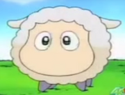 Amon agnello