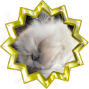 Tiedosto:Badge-love-1.png
