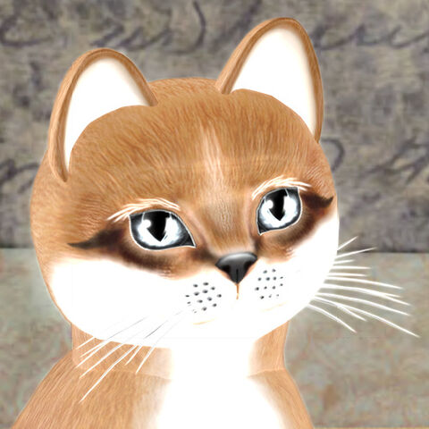 File:OniAuburn.jpg