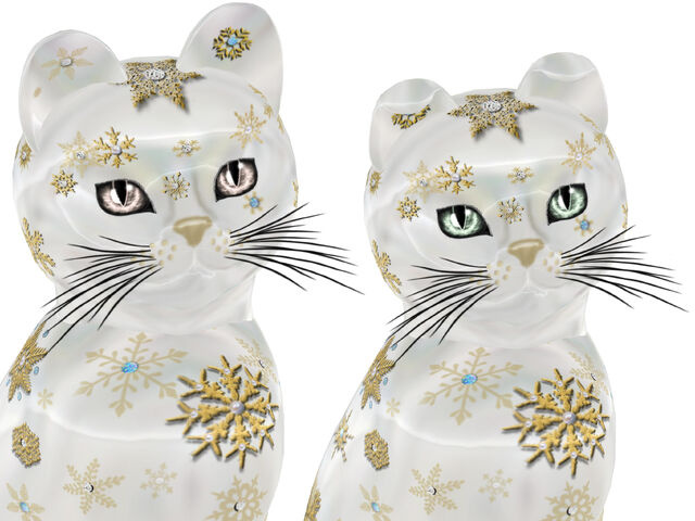 File:Heavenly SnowStorm - Custom Girl & Boy Too.jpg