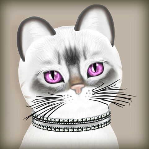 File:KittyCatS! - Girls Can Be Tough Too.jpg