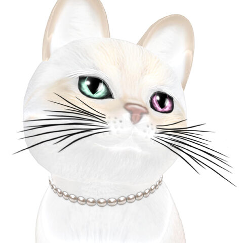File:Girls Deserve Pearls.jpg