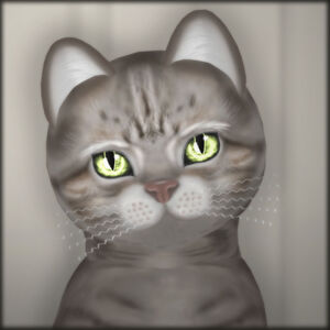 KittyCatS! - Blushy Lady