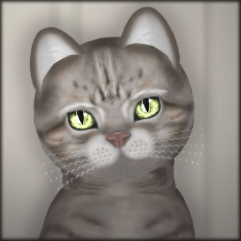 File:KittyCatS! - Blushy Lady.jpg