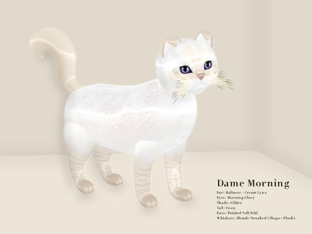 File:Dame Morning.jpg