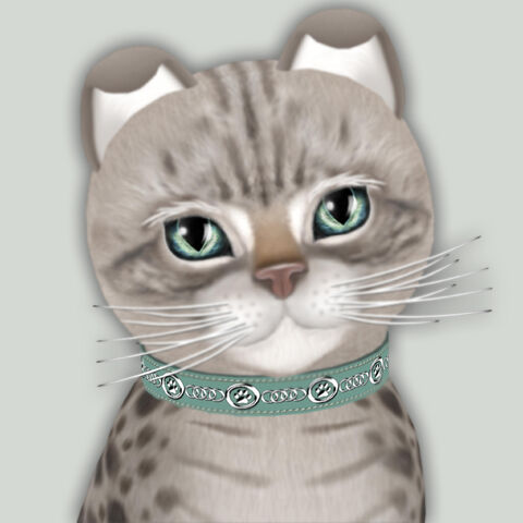 File:Ocicat Blue.jpg