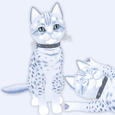 File:Fansy Kitty Composed.jpg
